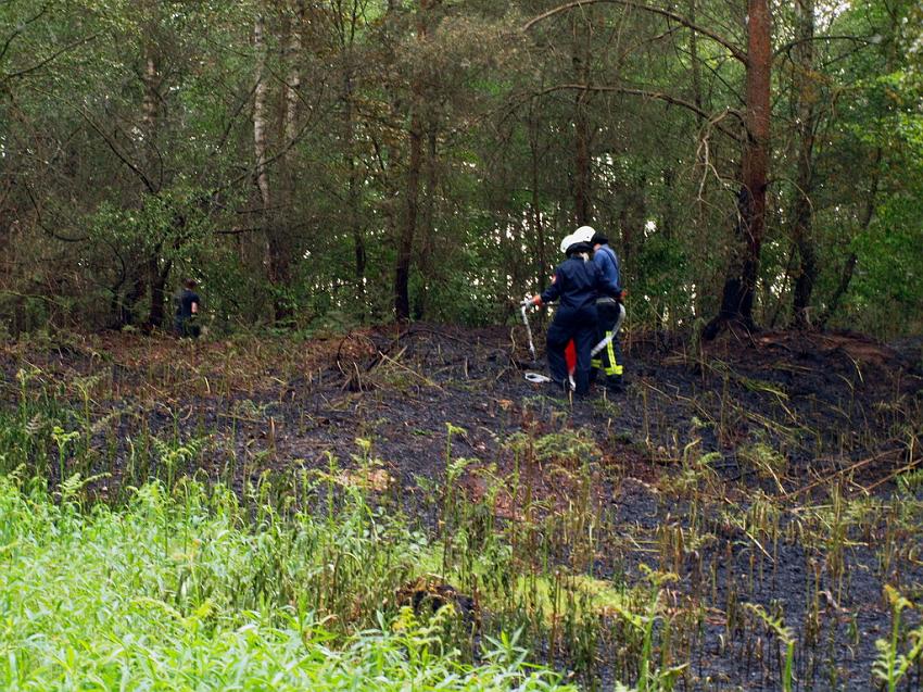 Waldbrand Bergisch Gladbach Bensberg P099.JPG